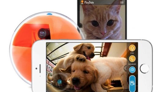 外出していてもペットと遊べるペット用スマートボール「PlayDate」